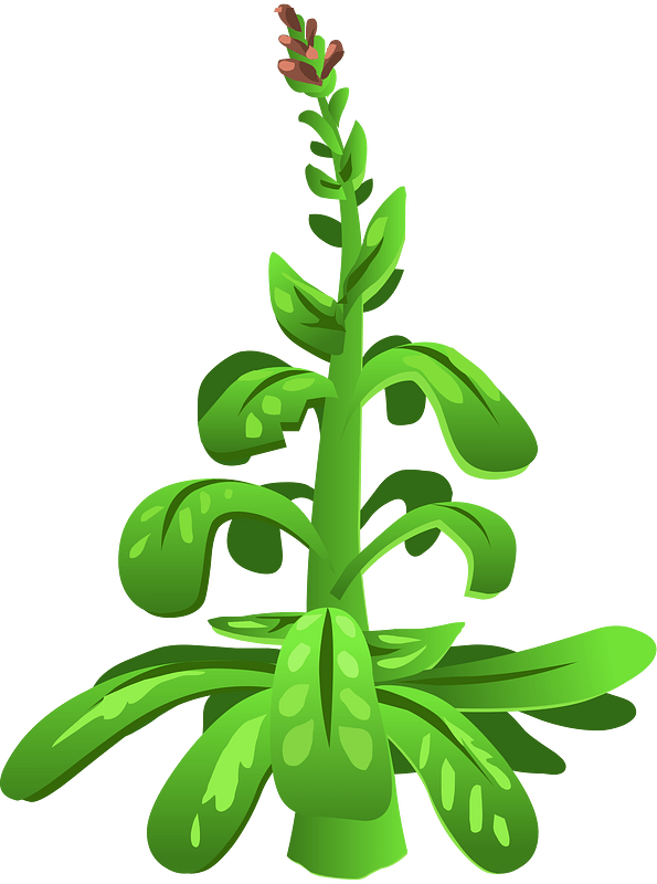 Green plant