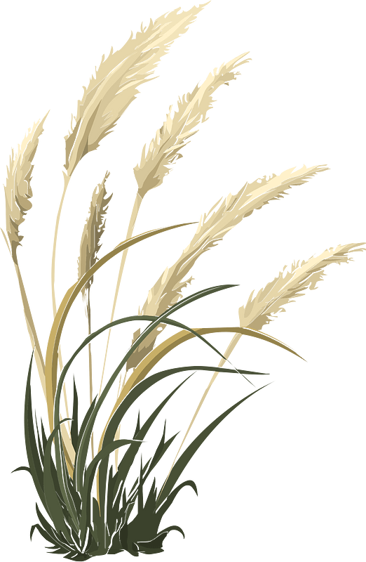 Pampas