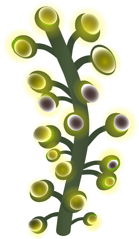 Underground willow