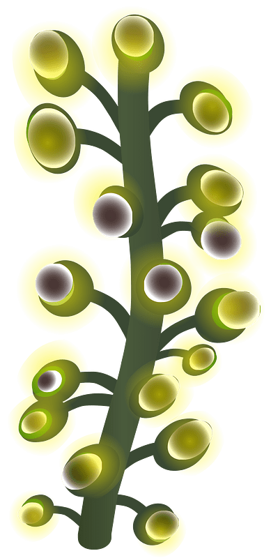 Underground willow