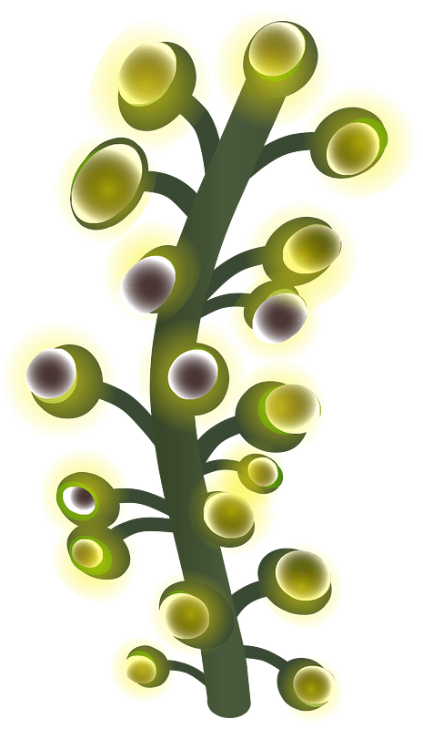 Underground willow