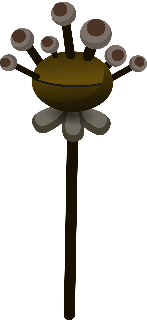 Underground willow