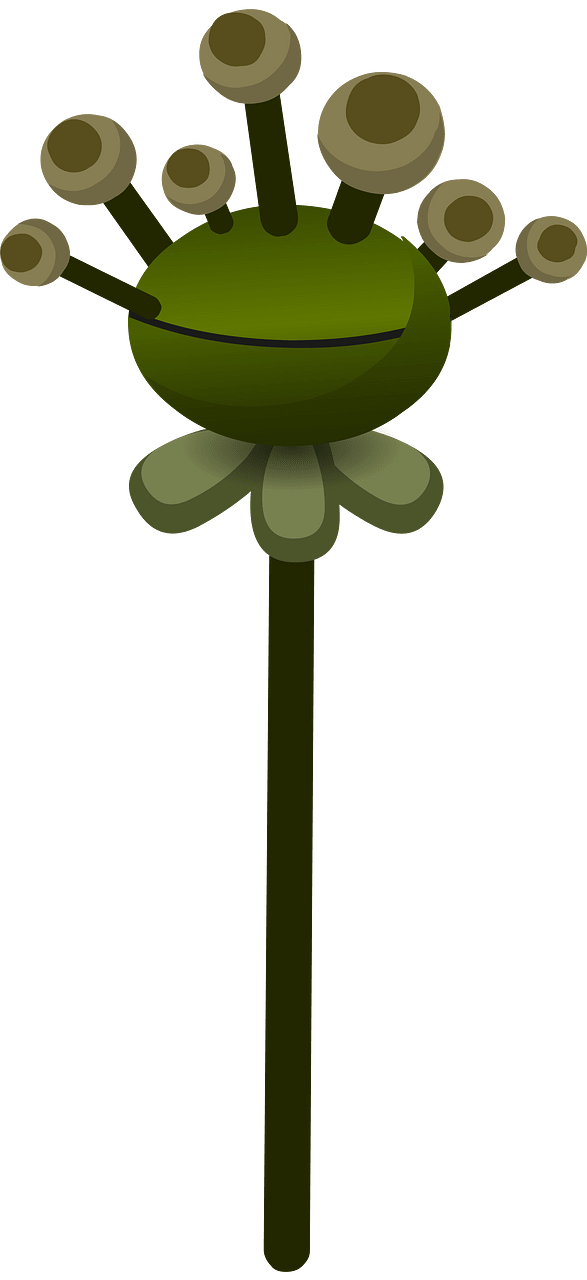 Underground willow