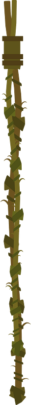 Vine rope