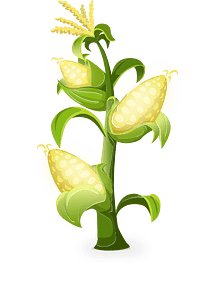 Yellow glowing corn