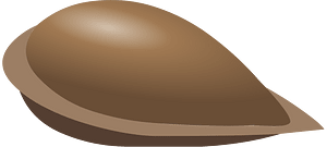 Apple seed