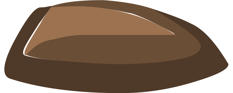 Seed small brown
