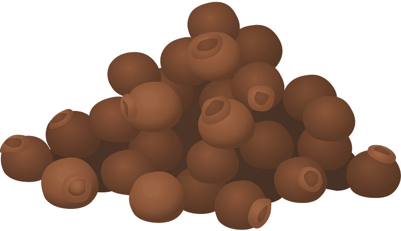 Spice fantasy seeds