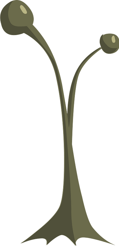 Bare tall fantasy tree