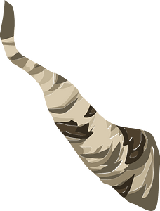 Birch tree branch