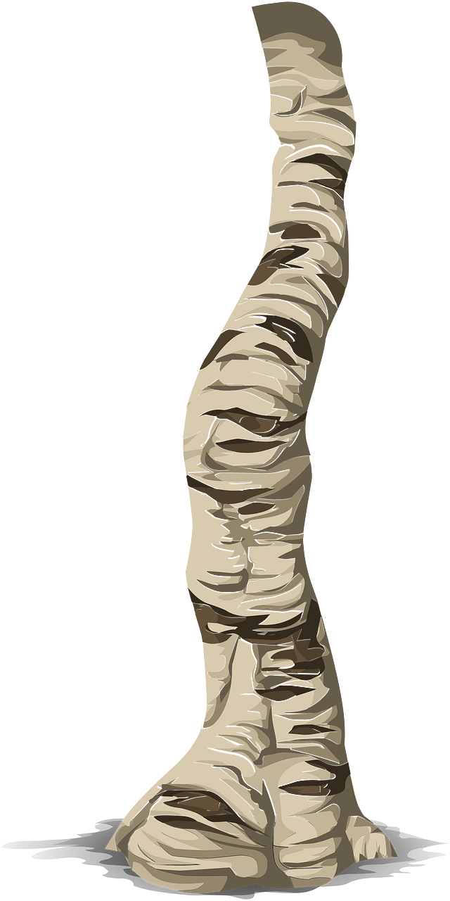 Birch tree branch