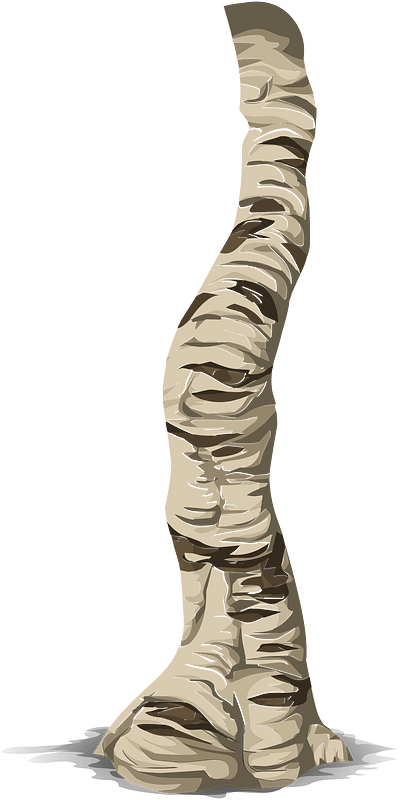 Birch tree branch