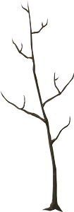 Brown bare tree