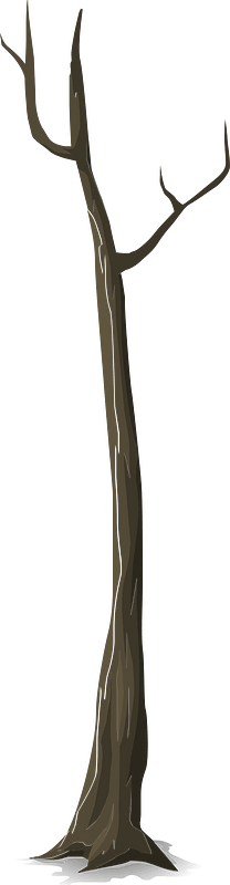 Brown bare tree