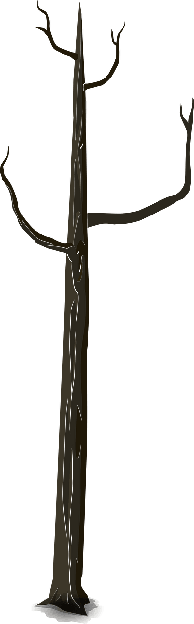 Brown bare tree