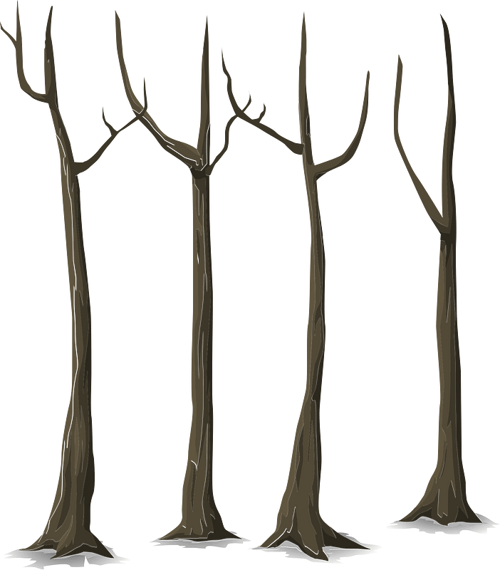 Brown bare tree
