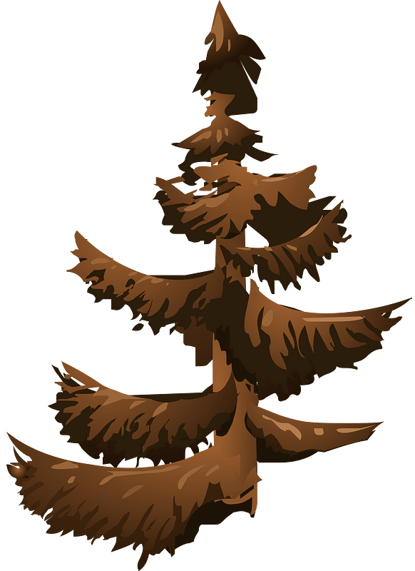 Brown coniferous tree