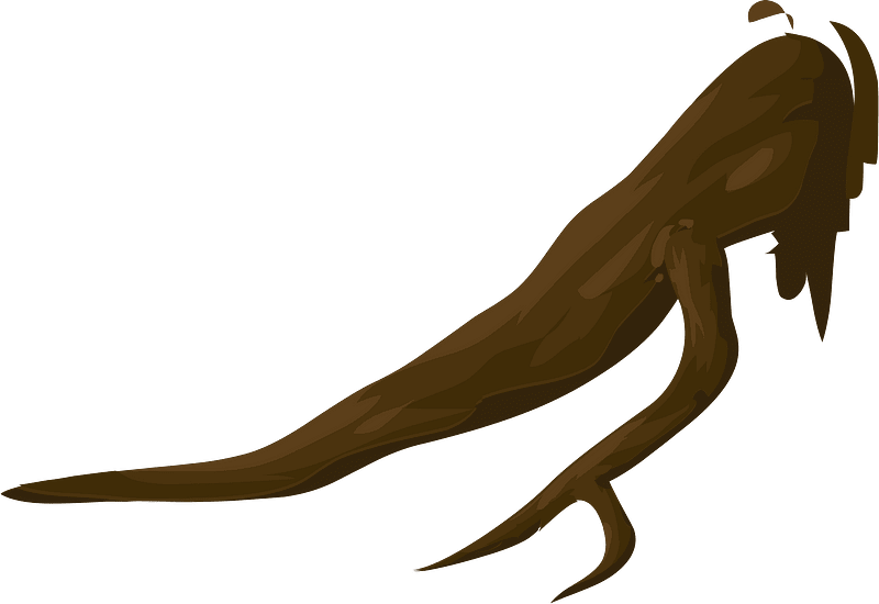 Brown tree branch