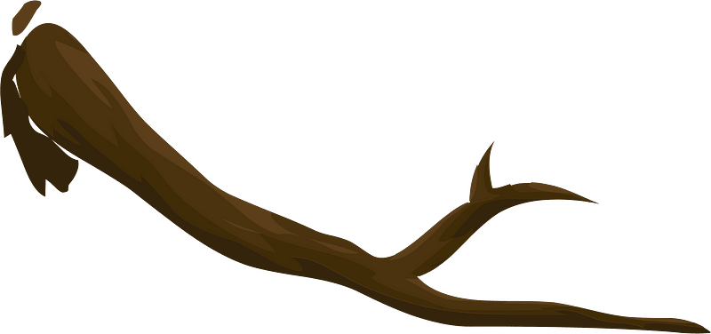 Brown tree branch