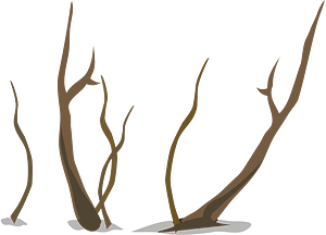 Brown tree branch