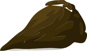 Brown tree root