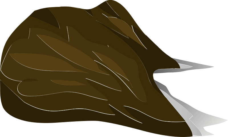 Brown tree root