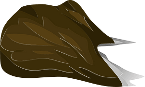Brown tree root