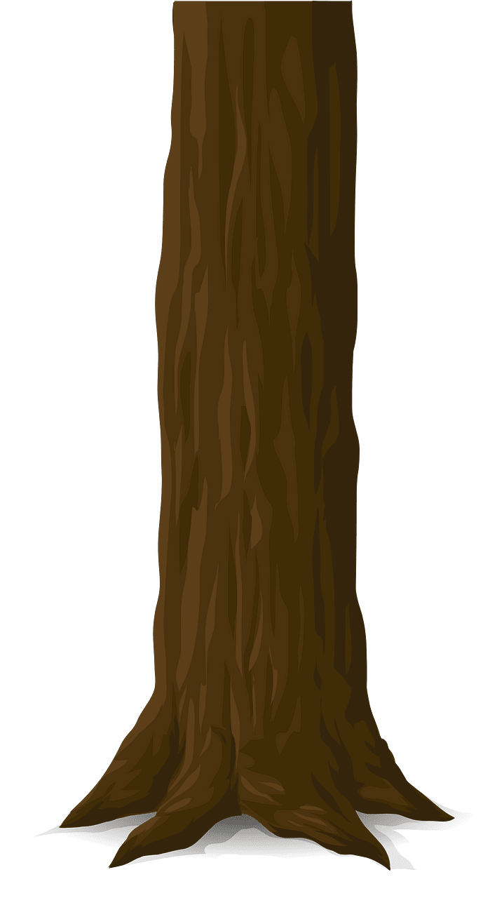 Brown tree trunk