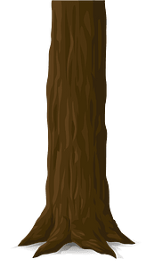 Brown tree trunk