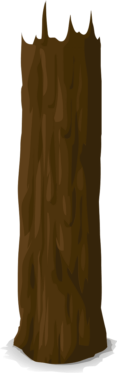 Brown tree trunk