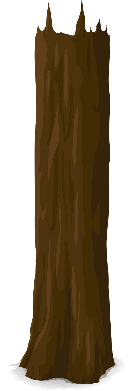 Brown tree trunk