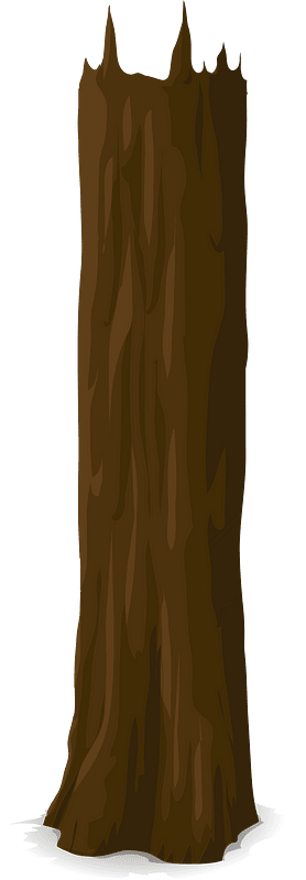 Brown tree trunk