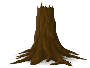 Brown tree trunk