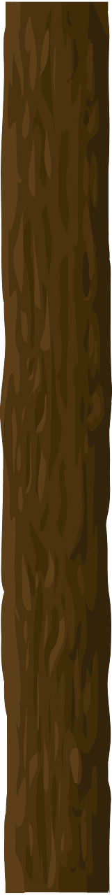 Brown tree trunk