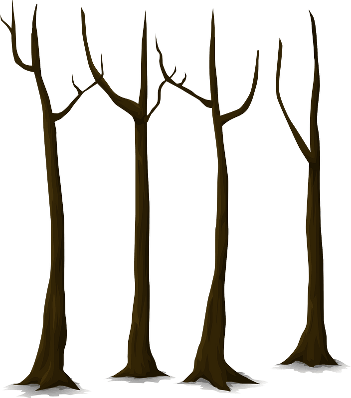 Bunch bare tree