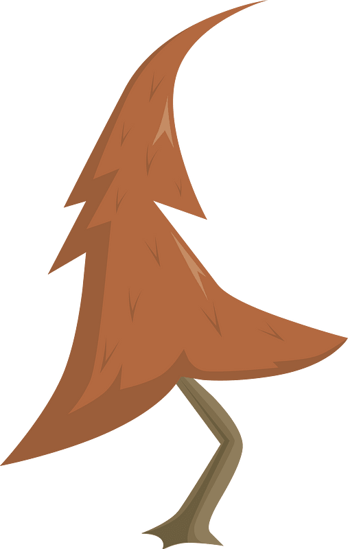 Crooked red coniferous tree