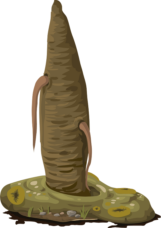 Dead brown egg fantasy tree