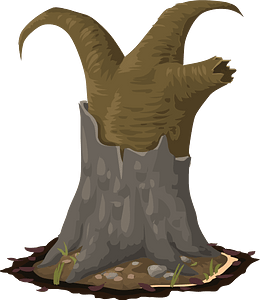 Dead spice tree