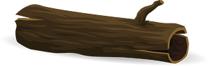 Dead tree log
