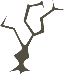 Dry thin brown tree