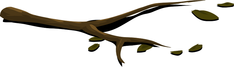 Forest ground twigs