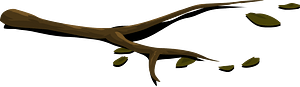Forest ground twigs