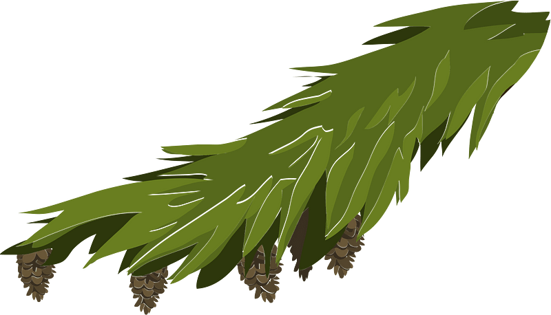 Green branch pinecone