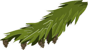 Green branch pinecone