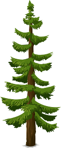 Green coniferous tree