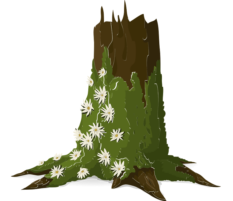 Green moss tree trunk