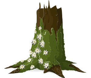 Green moss tree trunk