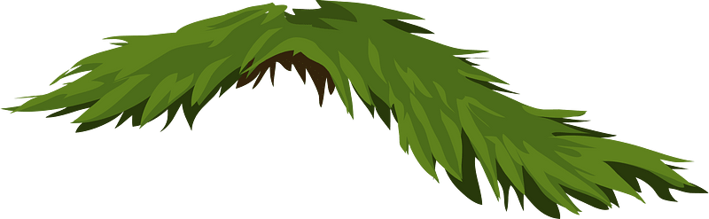 Green tree branch