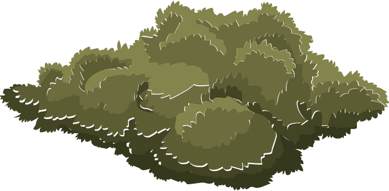 Green tree crown
