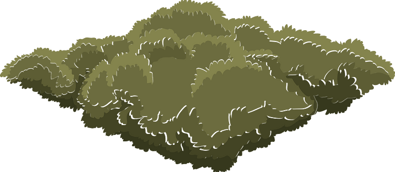 Green tree crown